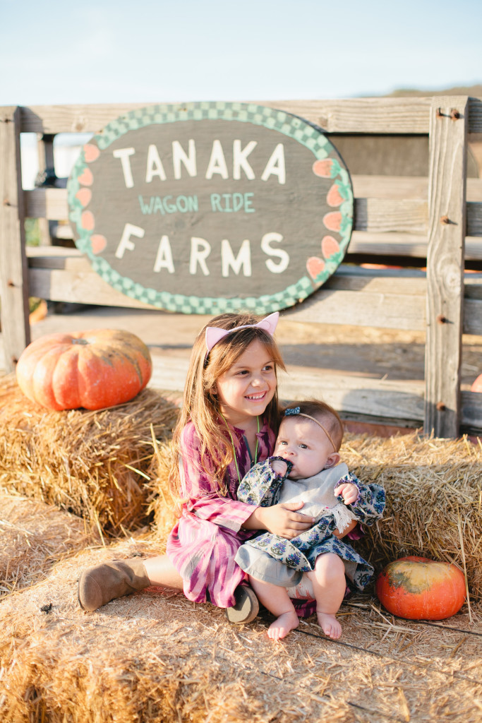 meganwelker-pumpkinpatch-35