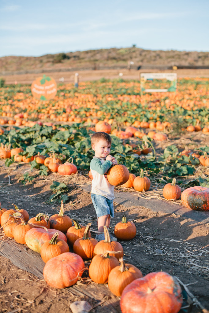 meganwelker-pumpkinpatch-70