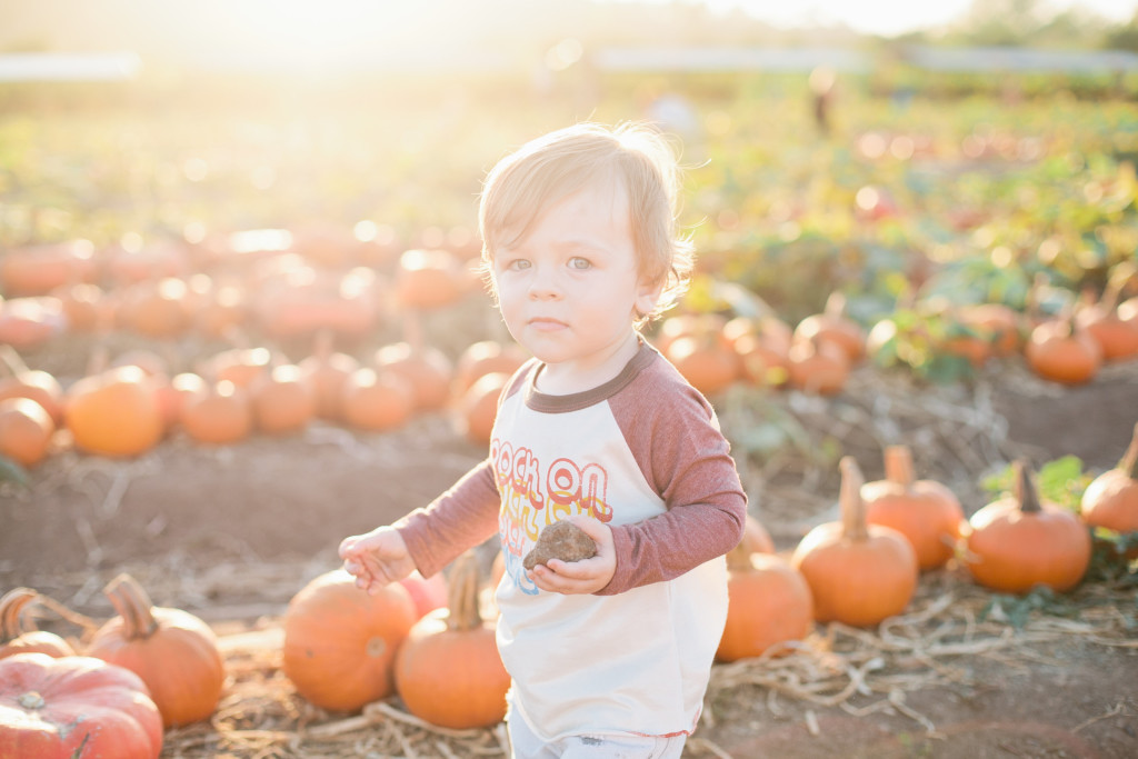 meganwelker-pumpkinpatch-80