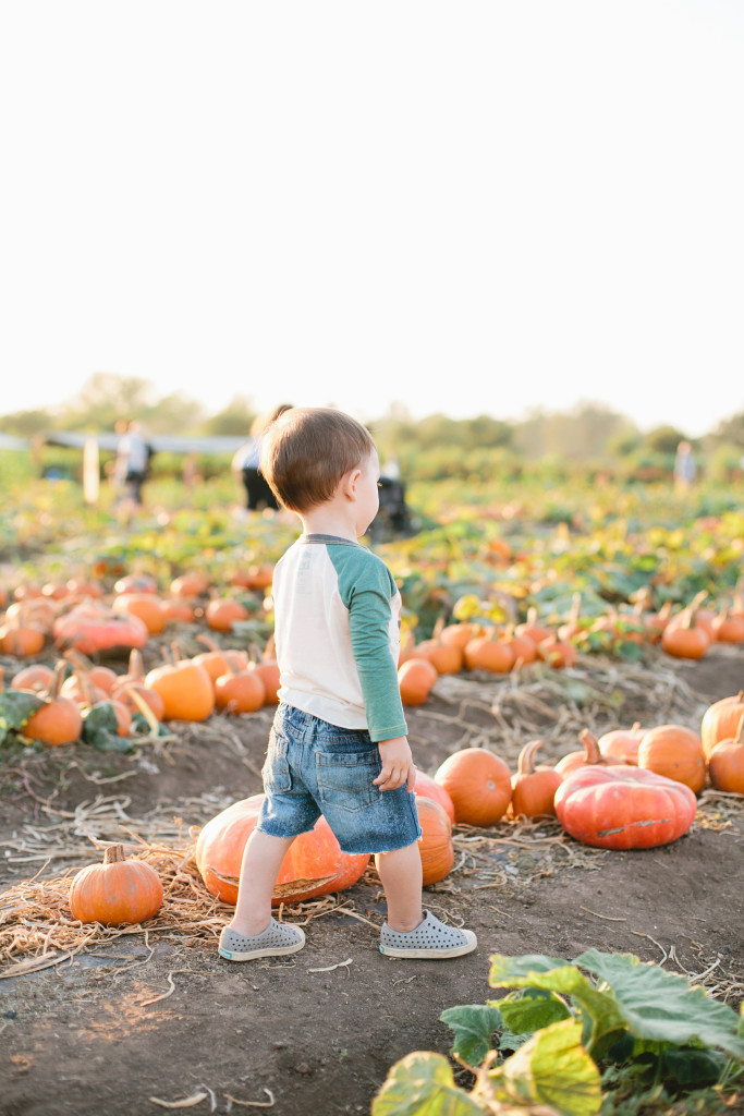 meganwelker-pumpkinpatch-91