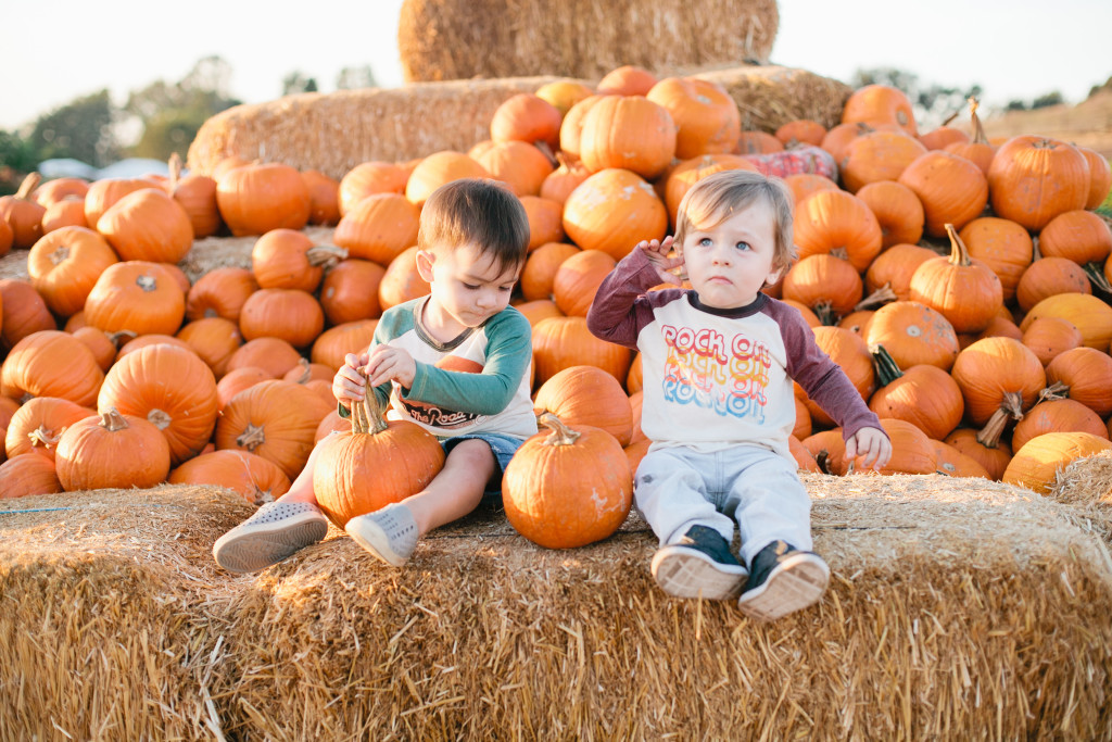 meganwelker-pumpkinpatch-96