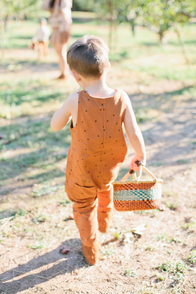 meganwelker-applepicking-192