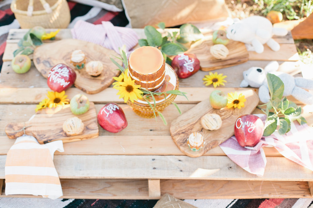 meganwelker-applepicking-22