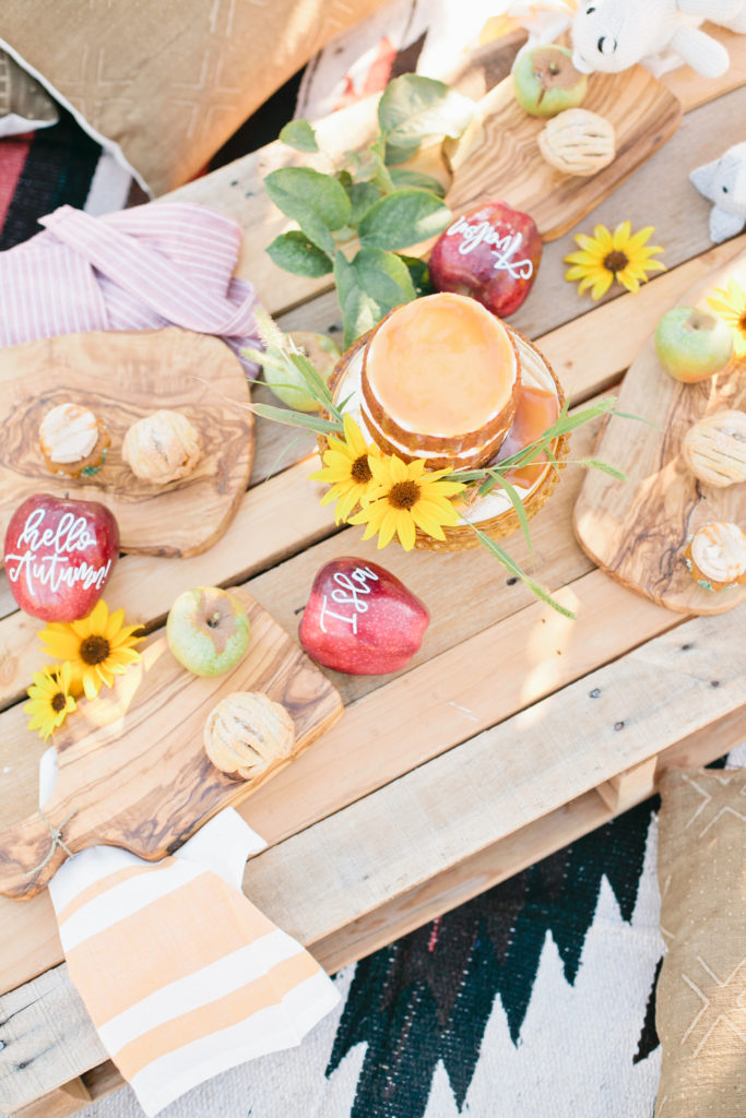 meganwelker-applepicking-26