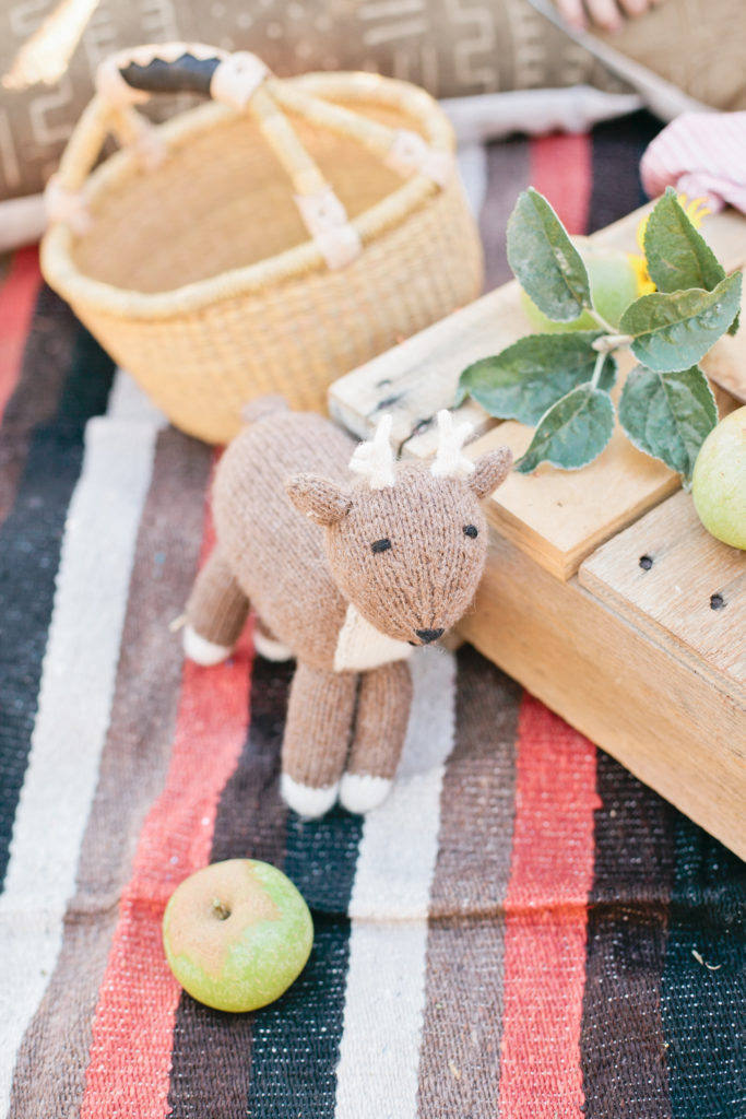 meganwelker-applepicking-27