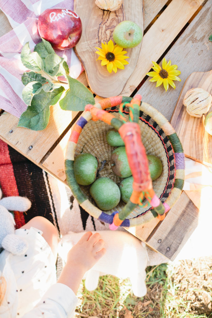 meganwelker-applepicking-67