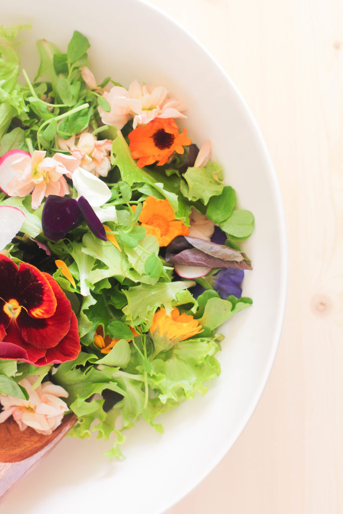 Vibrant Edible Flower Salad - Frolic and Fare