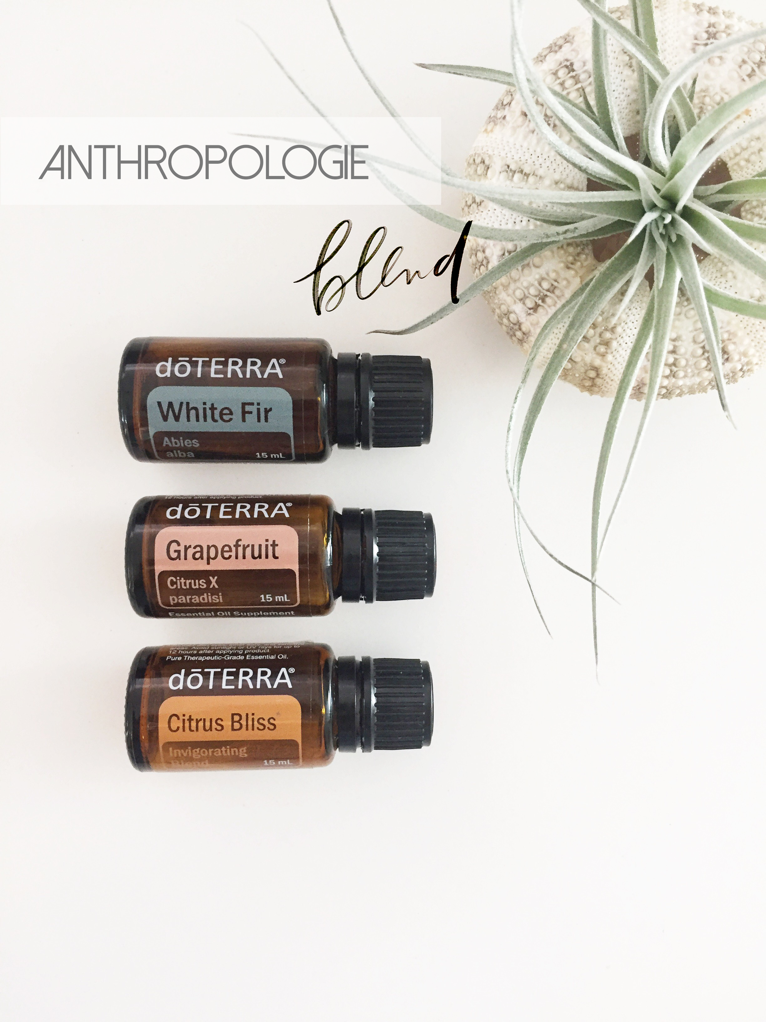 Let’s Diffuse! – Daily Essential Oil Blends