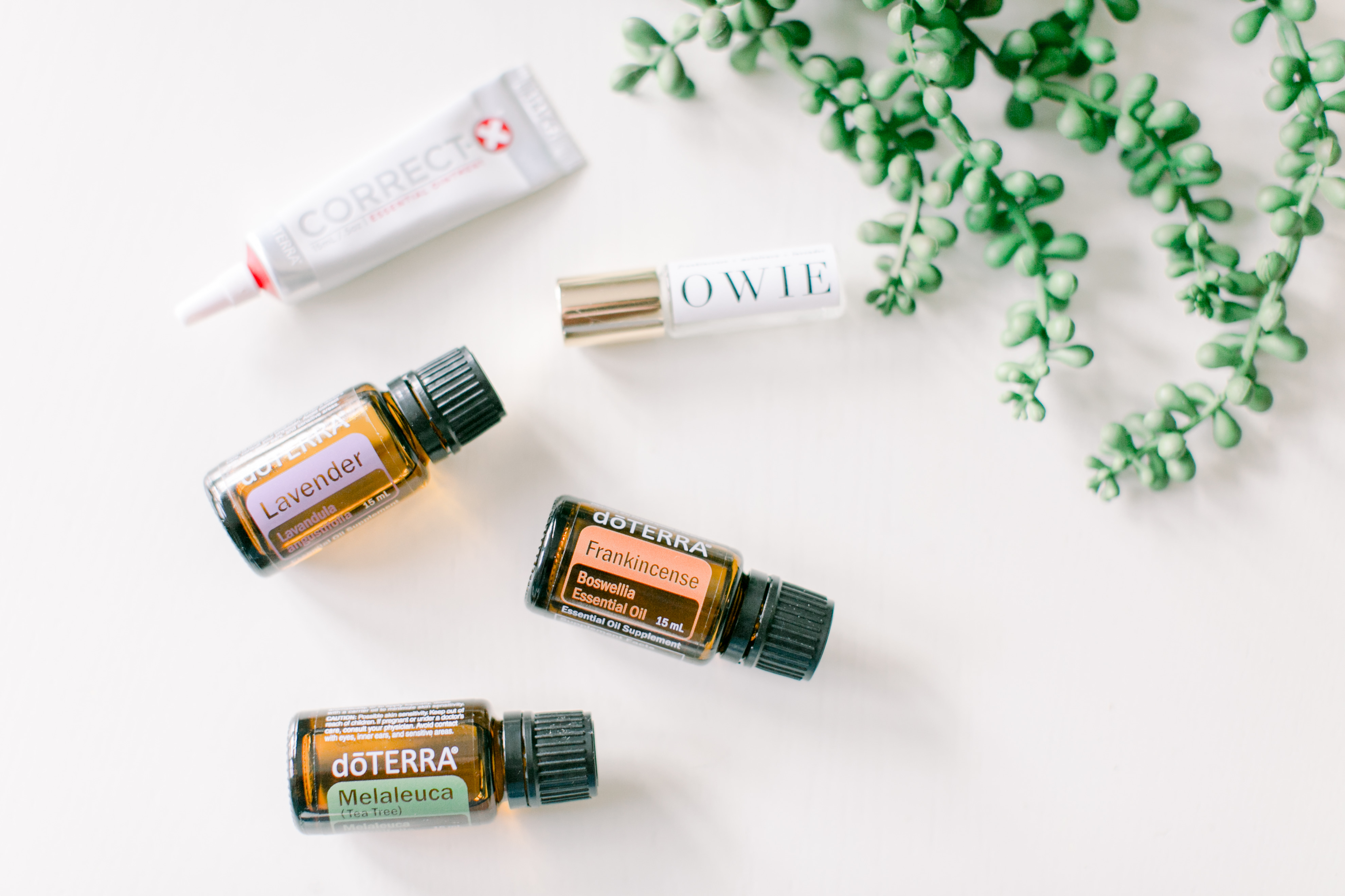 Oils for the Little Ones from Obsessed with Essentials
