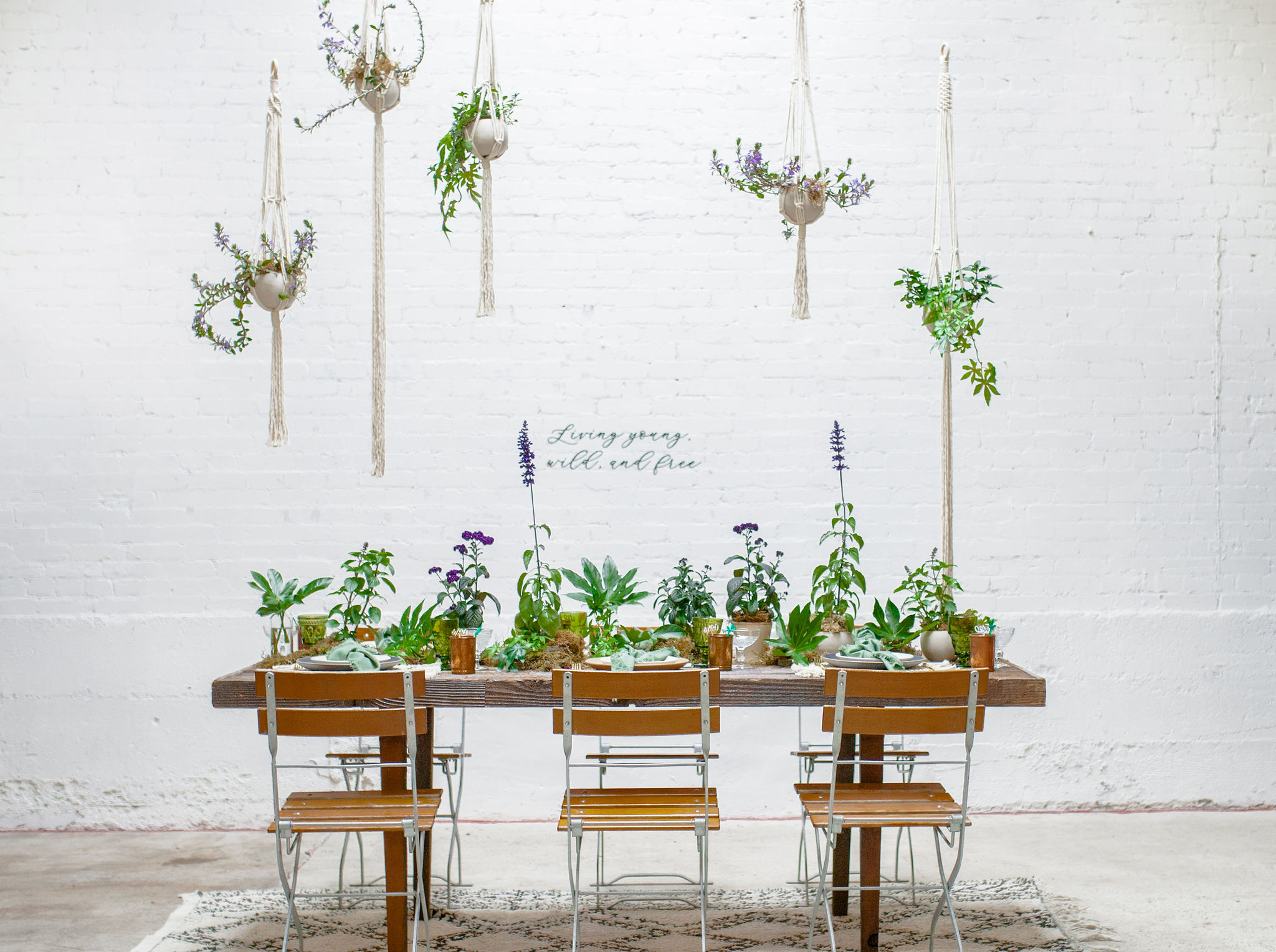 4/20 Tablescape – Living Young, Wild & Free
