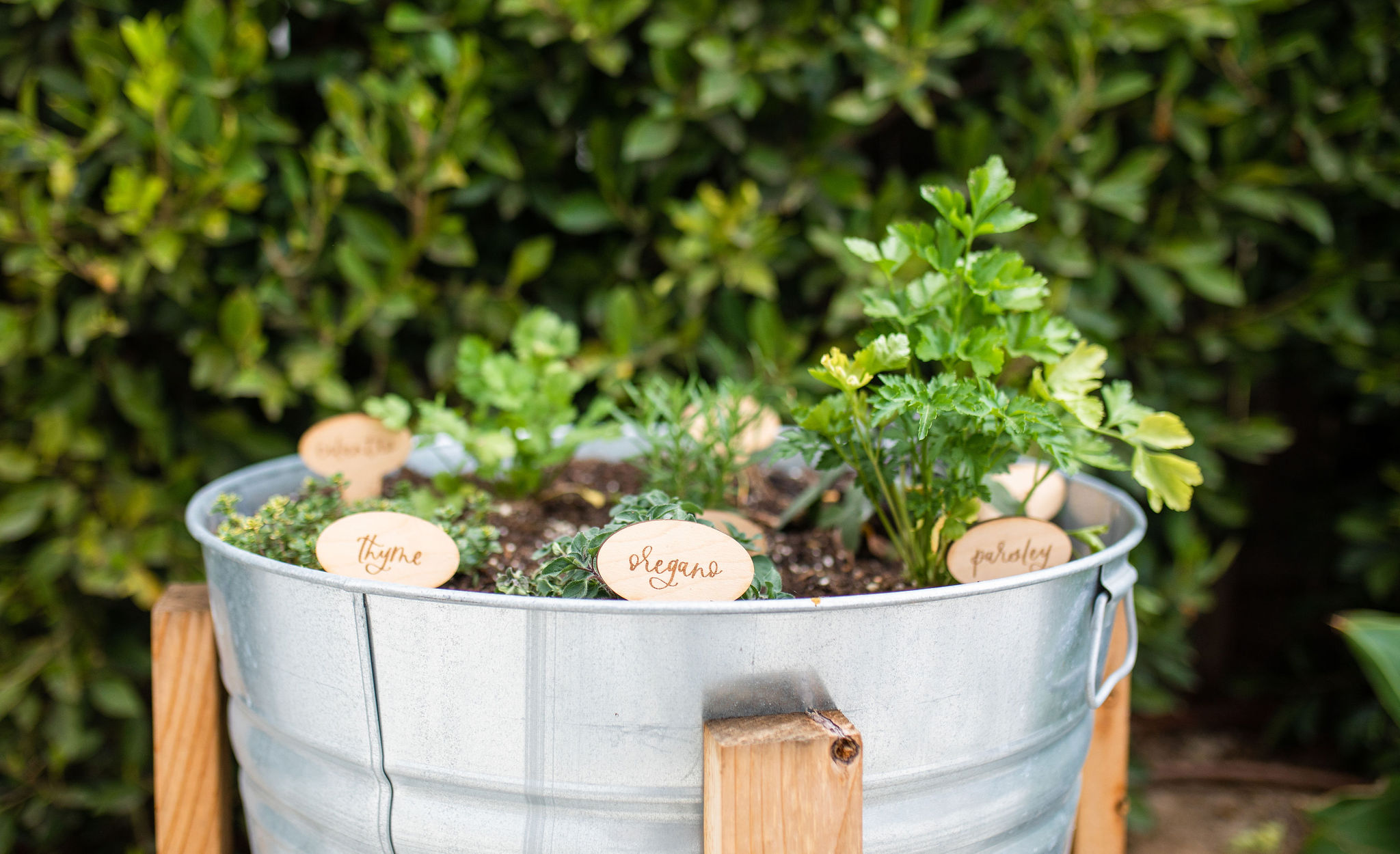 An Easy & Simple DIY Backyard Herb Garden