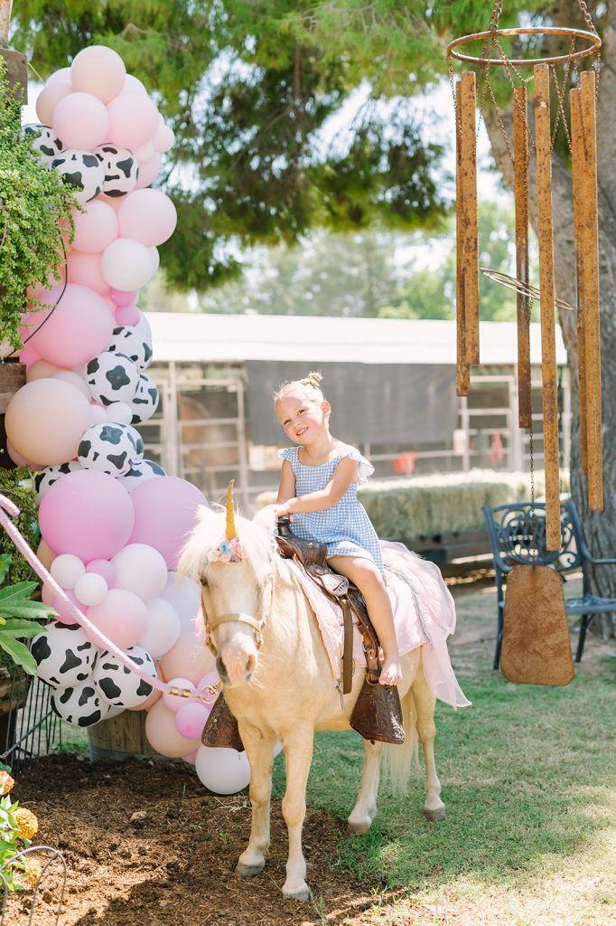 The Sweetest & Prettiest Little Barnyard Bash for Noa's 4th