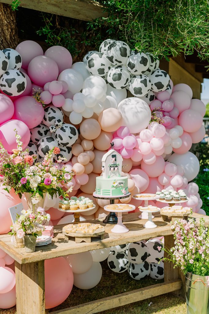 The Sweetest & Prettiest Little Barnyard Bash for Noa's 4th