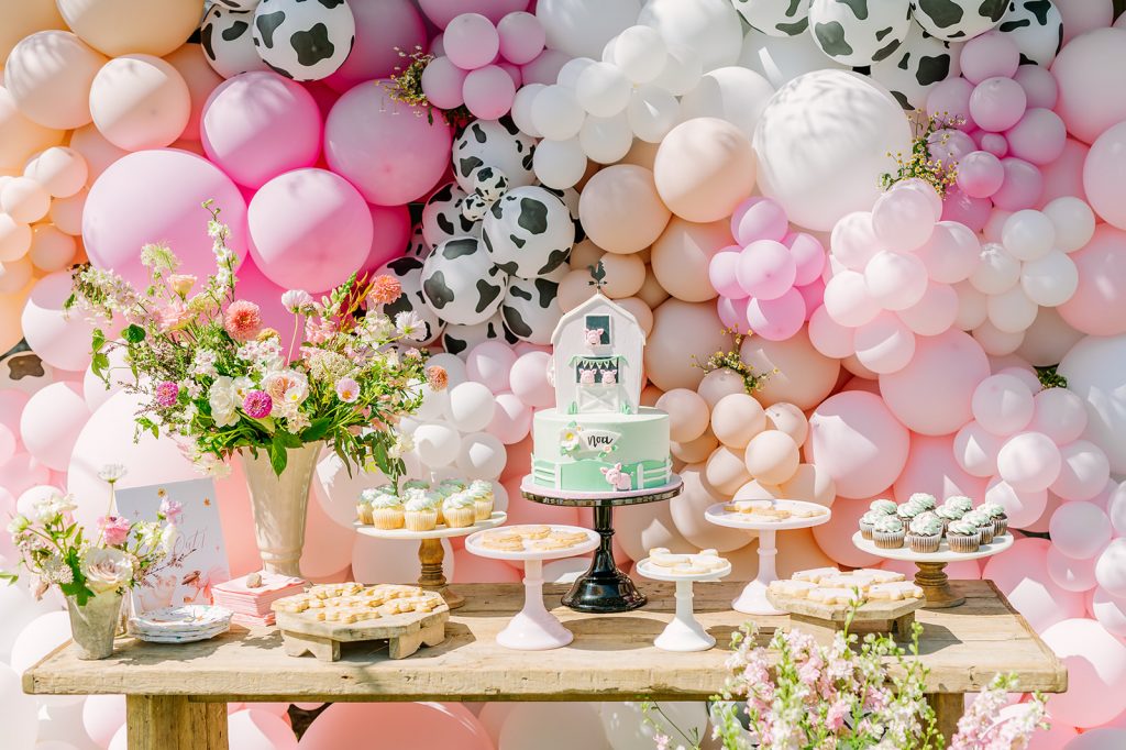 The Sweetest & Prettiest Little Barnyard Bash for Noa's 4th