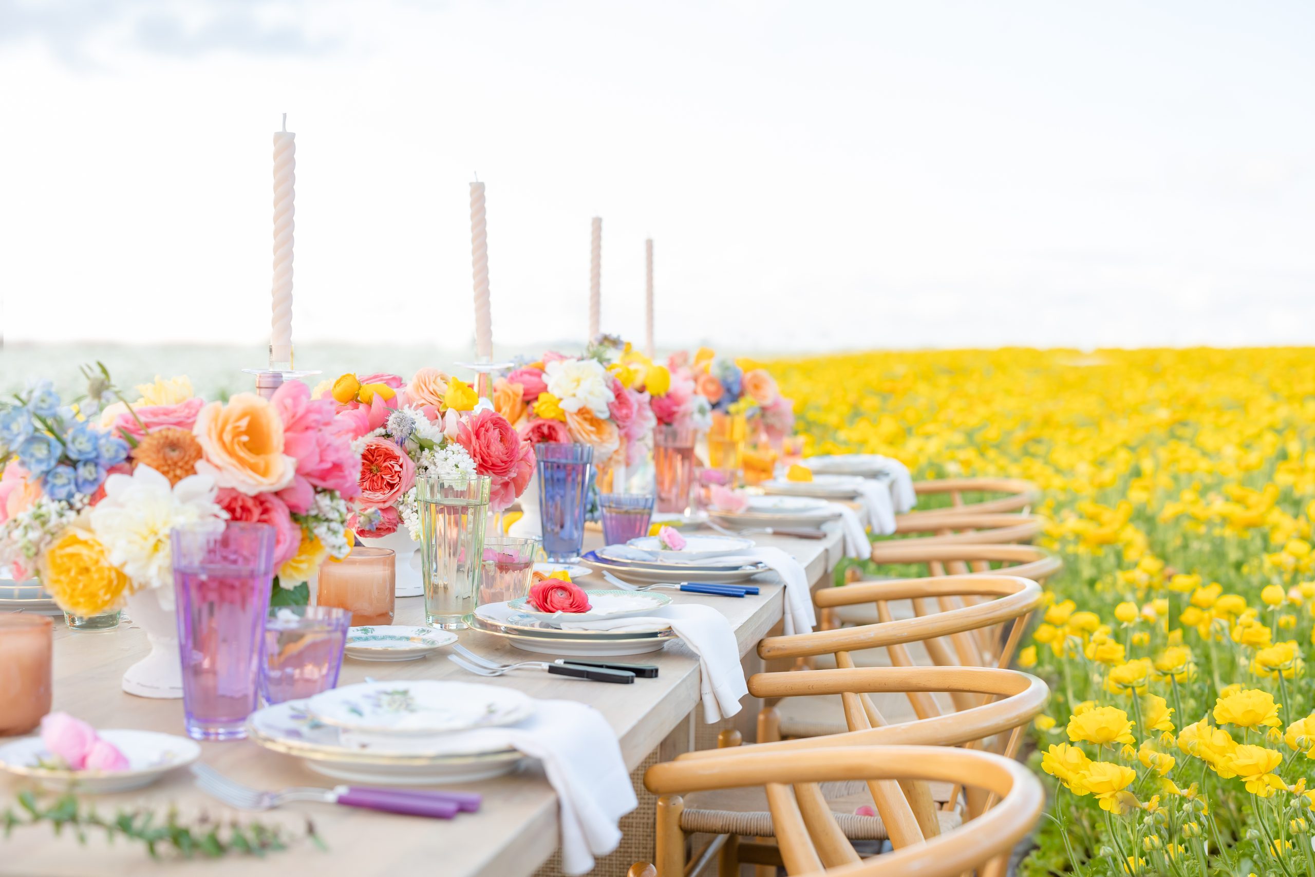 Living for Spring in the Flower Fields with Estelle Colored Glassware